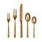 Mepra Sole Pewter Gold Flatware  Set - 5 Pcs. 101922005PO - alternate 1