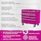 The Original Pink Box 41-Inch 9-Drawer Rolling Tool Cabinet, Pink PB412409R - alternate 3