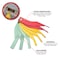 Performance Tool Automotive Brake Pad Thickness Gauge C28230 - alternate 6