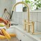 Blanco Empressa Bridge Pull-Down Faucet 1.5 GPM, Satin Gold 442981 - alternate 7