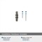 Amerock London 2-1/2 in 64 mm Length Polished Nickel/Black Bronze Cabinet Knob BP36647PNBBR - alternate 3