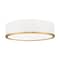 Z-Lite Bradley 1 Light Flush Mount, Matte White and Modern Gold, 16 In W 1018F16-MW-MGLD-LED - alternate 1