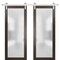 Sartodoors Sliding Double Lite 36x80 Planum 2102 Chocolate Ash 13' Rails Hangers Stops Hardware Set Modern Core PLANUM2102DB-CA-36 - alternate 1