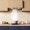 Wrightmaster 20 in. 450 CFM Ducted Insert Range Hood in Stainless Steel with 3 Speed Exhaust Fan ZR-CAS52913E - alternate 6
