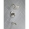 Delta Stryke 17 Thermostatic Tub and Shower Only Lumicoat Stainless T17T476-SS-PR - alternate 5