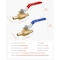 Vevor PEX Ball Valve 10 Pieces 1/2 in PEX Brass Ball Valve Full Port Brass Ball Valve, 10PK QF-11 - alternate 6