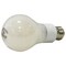 Sylvania LED Bulb, General Purpose, A21 Lamp, E26 Lamp Base, Dimmable, Daylight Light, 5000 K Color Temp 40666 - alternate 2