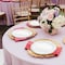 Smarty Had A Party 10" White with Silver Vintage Rim Round Disposable Plastic Dinner Plates (120 Plates), 120PK 860WHS-CASE - alternate 8