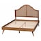 Baxton Studio Alecia Mid-Century Ash Walnut Wood Queen Size Platform Bed 253-12668-9408-ZORO - alternate 6