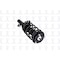 Fcs Struts Suspension Strut And Coil Spring Assembly 1335579R - alternate 4