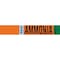 Brady VAP AMMONIA LOW Pipe Marker, 2.25in H x 14in W, Fits Pipes 2.5in Dia. Thru 7.875in Dia. 145845 - alternate 1