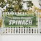 Signmission Farm Fresh Spinach, 24 Inch x 72 Inch, Vinyl Banner B-72-30615 - alternate 3
