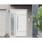 Vdomdoors Steel Door Deux 1705 White Enamel Sidelight Exterior Black Window Stainless Inserts Single Modern P DEUX1705EXD-BEM-W36+12 x H80-Right-hand Inswing - alternate 5