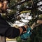 Makita Top Handle Chain Saw Kit, Cordless, 12 in XCU10SM1 - alternate 17