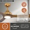 Vaxcel Niles, 60 in, Satin Brass Ceiling Fan, Dark Elm Blades, LED, Remote, DC Motor F0135 - alternate 6
