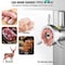 Vevor Commercial Electric Meat Grinder 36.7 Lbs/Min Industrial Cabinet Grinder DJ-42 - alternate 7