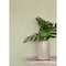 Chesapeake Homespun Green Textured Wallpaper 3125-72361 - alternate 3