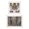 Homeroots Set Of Two Wildlife II 1 White Framed Print Wall Art, 2PK 406043 - alternate 1