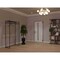 Vdomdoors Aluminum Door with Hidden Handle Hiddex 0155 Natural Noir Entry Steel Metal Modern Painted W36xH80 HIDDEX0155EXD-NOIR-W36xH80-RH-I - alternate 3