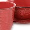 Elama Rustic Birch 16 Piece Stoneware Dinnerware Set in Red EL-RUSTICBIRCHRED - alternate 5