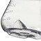 Nalgene Flasks, Colorless, PK12 4110-0250 - alternate 4