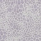 Homeroots 3' X 5' Lilac And Ivory Geometric Washable Indoor Outdoor Area Rug 595085 - alternate 6
