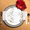 Smarty Had A Party 10.25" White with Gold Antique Floral Round Disposable Plastic Dinner Plates (120 Plates), 120PK 920WHG-CASE - alternate 6