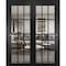 Sartodoors Sliding Closet Bypass Doors, Felicia 3355 Matte Black with Clear Glass, Sturdy Rails Moldings Trim FELICIA3355DBD-BLK-84 - alternate 1