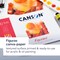Canson Artist Series Canva Canvas Board, 16x20 inch, 5PK C100516097 - alternate 4