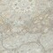 Homeroots 8' Taupe And Ivory Round Medallion Washable Indoor Outdoor Area Rug 617475 - alternate 6