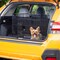 Pet Essentials Small Steel Dog Crate Black 20 in. H X 18 in. W X 24 in. D 6110PG - alternate 3