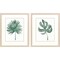 Homeroots Set Of Two Plant Press Distressed White Framed Wall Art, 2PK 649308 - alternate 2