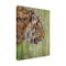 Trademark Fine Art Outdoor Canvas Art David Stribbling 'Amur Tiger Profile' Wall Art for Patios, or Gardens GRL01550-OC1419WR - alternate 1
