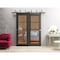 Sartodoors Slab Barn Door Panel Lite, Lucia 2466 Matte Black with Clear Glass and Aluminum Strips, Sturdy Fin LUCIA2466S-BLK-18 x 80 - alternate 2