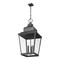 Z-Lite Raphael Sand Black 5 Light Outdoor Chain Mount Ceiling Fixture 5029CHXXL-BK - alternate 4