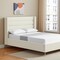 Homeroots Cream Velvet Upholstered Queen Bed Frame 544807 - alternate 1