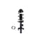 Fcs Struts Suspension Strut And Coil Spring Assembly 1337128R - alternate 1