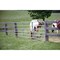 Tarter 50'' H.x14 ' L.x1-3/4'' Tube Diameter Galvanized Tube Gate 6GG14 - alternate 2