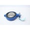 Keystone WAFER BUTTERFLY VALVE 150MM 139-0150W0A10014-D3S00S0N100KB - alternate 4
