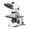Motic Instruments Usa Panthera TEC-BF/RL/TL Trinocular Compound Upright Microscope with 6x4 Stage 1100104600201 - alternate 1
