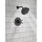 Delta Galeon 17 Series Shower Trim with H2OKinetic T17272-BL - alternate 4