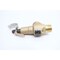 Kunkle RELIEF VALVE 125PSI 1.25IN NPT 6010FFM01AKM - alternate 1