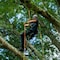 Sterling Triad Arborist Climbing Rope 11.9mm x 200 ft. No Splice TRI-RD-200-NS - alternate 6