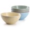 Elama Emilia 16 Piece Assorted Double Bowl Stoneware Dinnerware Set in Speckled Multi-Color ELM-EMILIA-AST - alternate 6