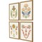 Homeroots Set Of Four Folk Flourish Gold Framed Print Wall Art, 4PK 525944 - alternate 1