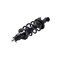 Fcs Struts Suspension Strut And Coil Spring Assembly 1345688R - alternate 4