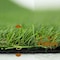 Msi Viridian Green Sample Artificial Grass Turf Full Roll ZOR-TRF-0008-SAM - alternate 5