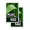 Signmission Plant Sale, Vinyl Decals Only 24 Inch x 36 Inch, Vinyl Decal, 2PK DSB-2436-2PACK-Plant Sale - alternate 1