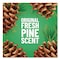 Pine-Sol Multi-Surface Cleaner Disinfectant Concentrated, Pine Scent, 80 oz Bottle, 6PK 60160CT - alternate 7