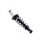 Fcs Struts Suspension Strut And Coil Spring Assembly 1345596R - alternate 4